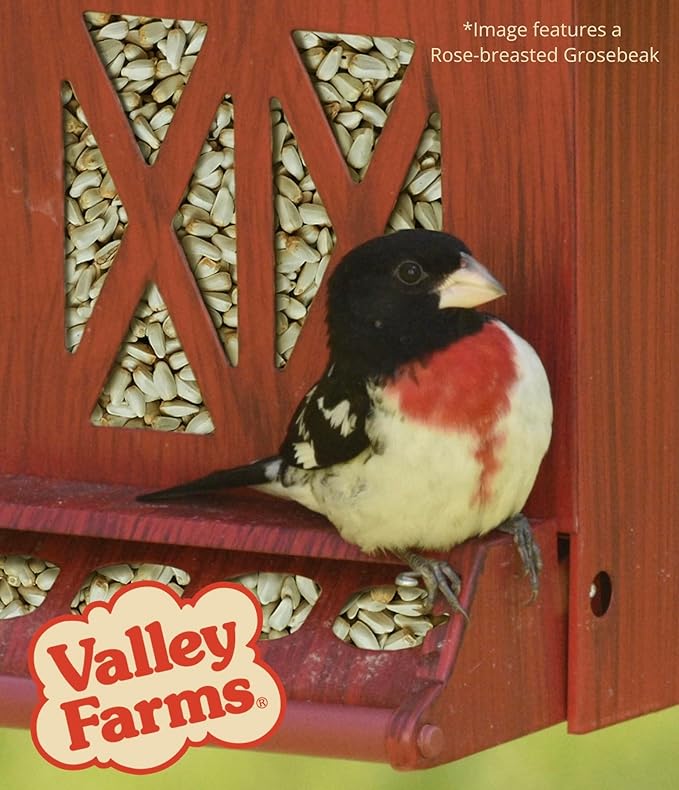 Valley Farms Safflower Seed Wild Bird Food (4 LB) Birdseed for Outside Feeders to Attract Cardinals, Titmice & Grosbeaks