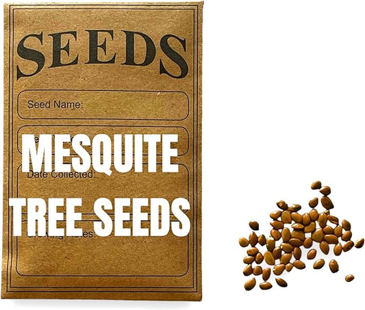 Drought-Tolerant Honey Mesquite (Prosopis) Tree Seeds (50+ Seeds) | Hardy, Fast-Growing | Perfect for Low-Water Gardens & Sustainable Landscaping