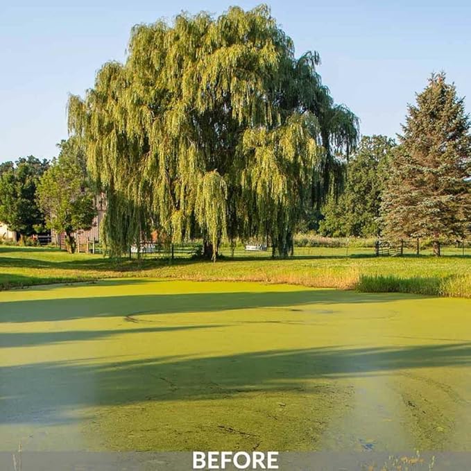 Airmax Knockdown Defense 2-in-1 Liquid Pond Algae Control, Effective & Fast Acting Algaecide, Aquatic Weed Treatment for Clear Water in Ponds & Lakes, Liquid Formulation for Easy Use, 16 fl oz