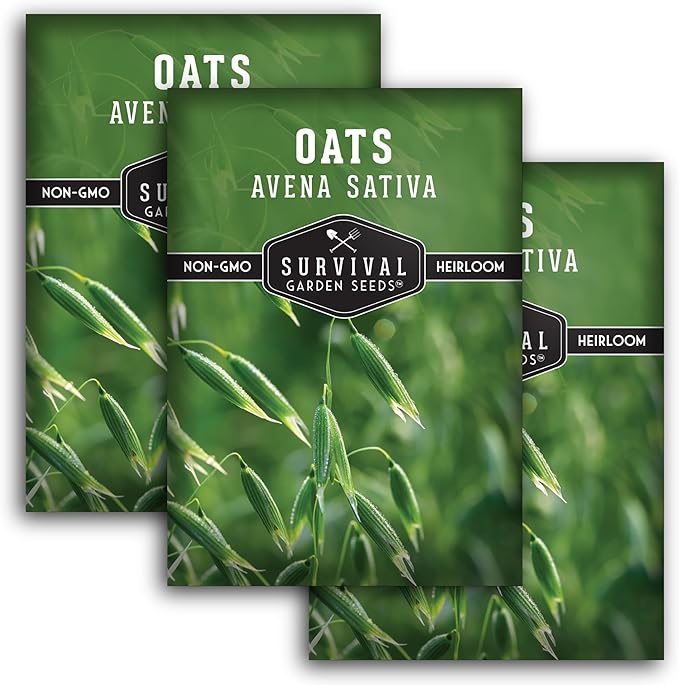Survival Garden Seeds - Oat Seed for Planting - 3 Packs with Instructions to Plant & Grow Avena Sativa in Your Home Vegetable or Herb Garden - Medicinal Herb & Cover Crop - Non-GMO Heirloom Variety