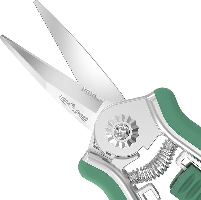 FLORA GUARD 6.5-Inch Floral Scissors, Zinc Alloy with Rubber Handle, Toothed Blade for Quick Cutting, Suitable for Flower Placement, Plant Pruning, Rose or Fruit Picking (Green)