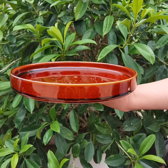 Ceramic Plant Saucer 9 Inch, Round Plant Trays for Indoors/Outdoors, Flower Pot Saucers for Holding Water Drips and Soil, Ceramic Drainage Tray for Plant Pot (Brown)