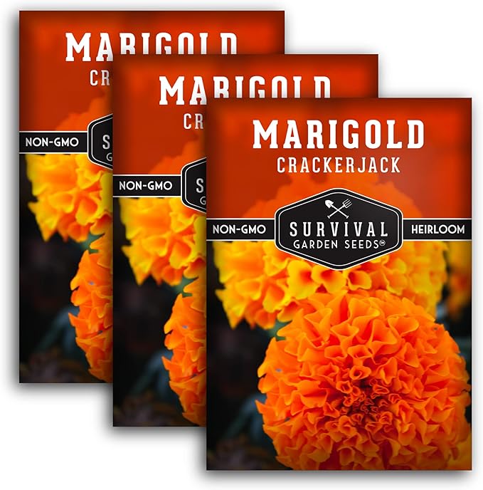 Survival Garden Seeds - Crackerjack Marigold Seed for Planting - 3 Packs with Instructions to Plant and Grow in Your Home Vegetable Garden - Non-GMO Heirloom Variety