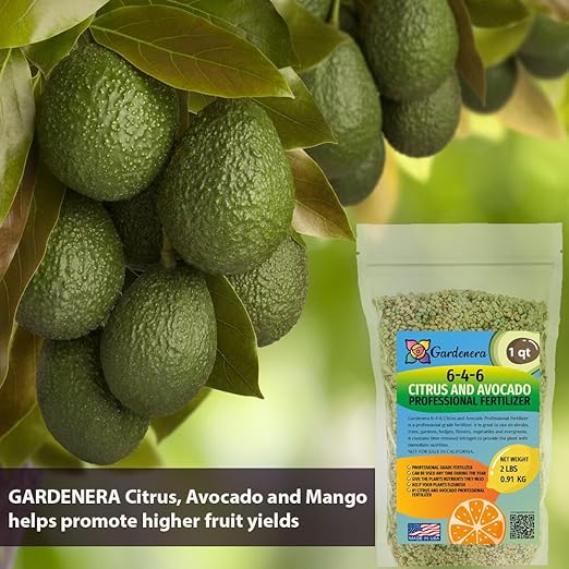 6-4-6 Citrus and Avocado Professional Fertilizer - Cultivate Vibrant Citrus and Avocado Trees with Expert Nutrition - 10 QUARTS