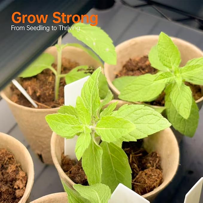 Bstrip Indoor Greenhouse with Grow Light, Plant Shelf with 4 Pack T8 Full Spectrum Plant Lights and cover, mini greenhouse for Indoor Plant, Seed Starting, Seed Tray, (47.2" L x 17.8" W x 71" H)