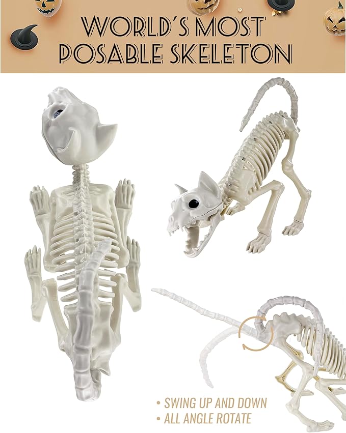 GIFTEXPRESS 2 Pack Real Size Cat Skeleton - 20" Long Creepy Kitten Skeletons with Posable Tail Halloween Decor - Indoor & Outdoor Haunted House Scary Animal Party Decoration