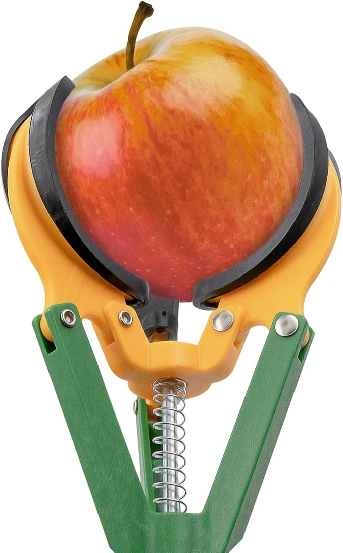 Zenport ZL6146A Long Reach Telescopic Fruit Harvester and Picker, 6-Feet Extension, Gray