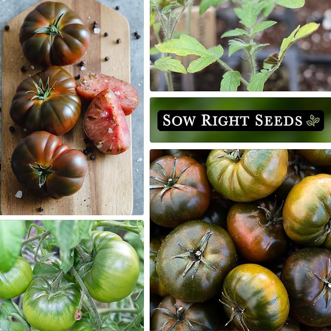 Sow Right Seeds - Black Krim Tomato Seeds for Planting - Medium Dark Maroon Beefsteak - Non-GMO Heirloom Tomato Seeds - Instructions to Plant a Home Vegetable Garden - Indeterminate Variety (1)