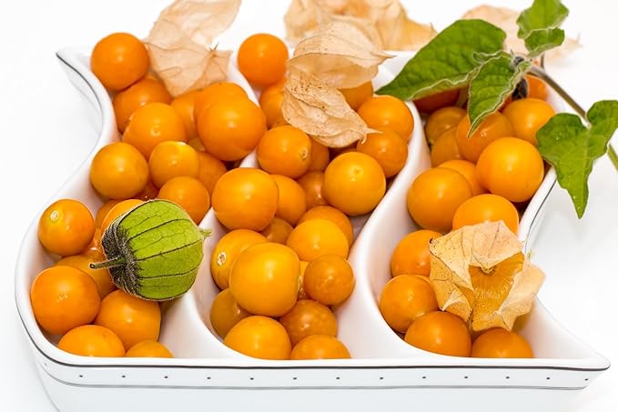 Seeds Ground Cherry (Cape Gooseberry, Goldenberry) Orange Physalis Vegetable for Planting Non GMO