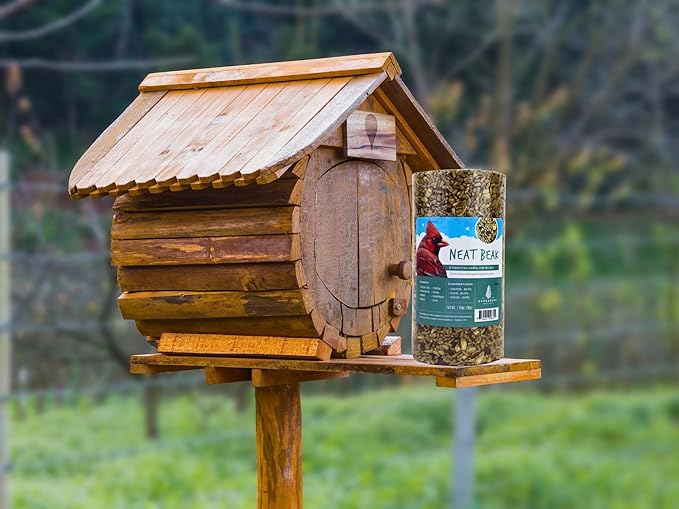 Birdseed Cylinders with Hole - Bird Seed for Outside Wild Birds (Small Cylinder, Neat Beak 4pc)