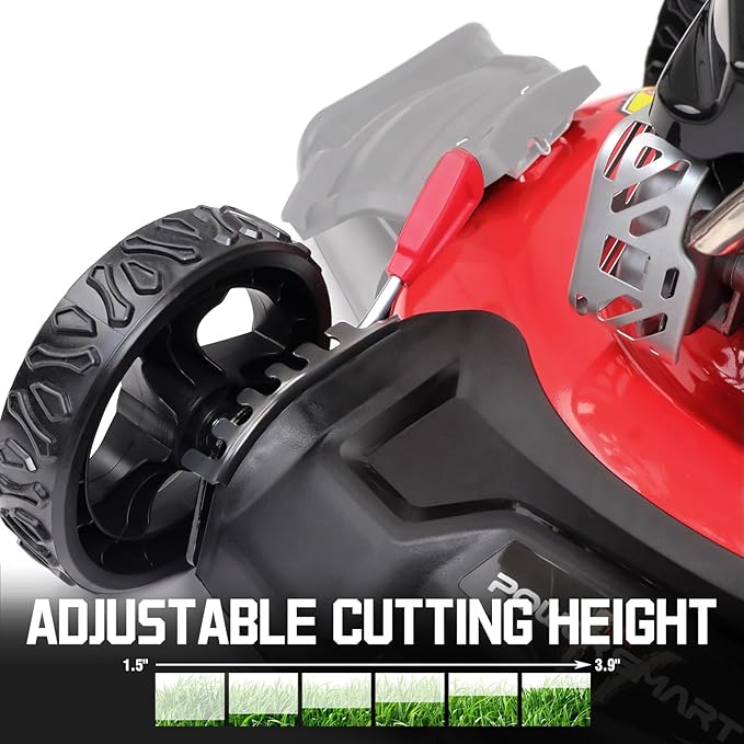 PowerSmart 21-Inch Gas Push Lawn Mower with 144cc 4-Cycle OHV Engine, 2-in-1 with Mulch and Side-Discharge, 6-Position Adjustable Cutting Height (DV8621C)