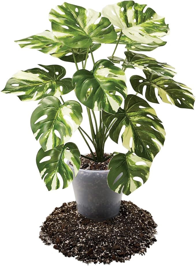 Premium Aroid Potting Mix - 3 Quart - Soil Free Blend for Aroids - Growing Medium for House Plant