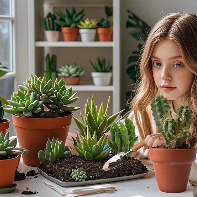 Cactus and Succulent Soil Potting Mix 2qt, Well Draining Chunky Soil Mix for Indoor Plants, Gritty Soil for Healthy Indoor Plants - Spike & Bloom