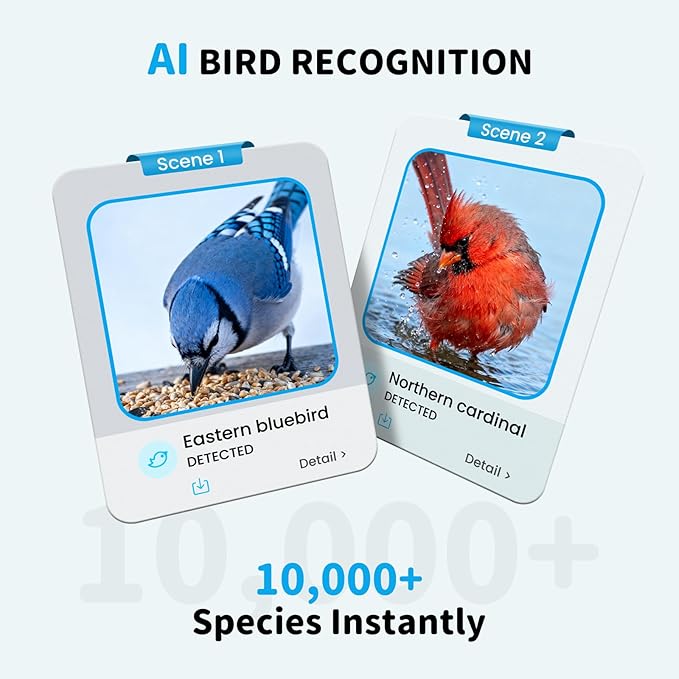 Bird Feeder with Camera and Bath, Dual-Lens 2K HD Video, AI Bird Identification, Solar Powered, Instant Alerts, IP66 Weatherproof - Best Gifts for Bi rd Lovers