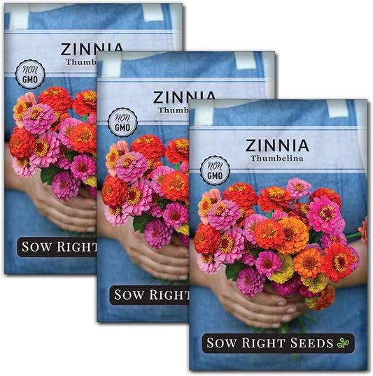 Sow Right Seeds - Thumbelina Zinnia Seeds for Planting - Beautiful to Plant in Your Flower Garden - Non-GMO Heirloom Packet with Instructions - Annual Cut and Come Again for Bouquets (3)