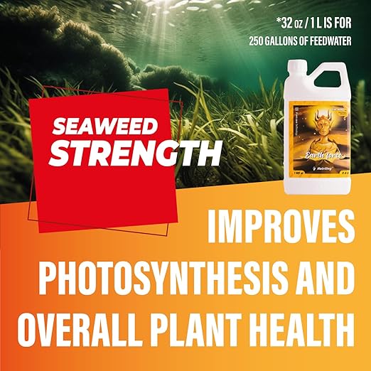 Cal Mag for Plants and Kelp Fertilizer for Plants. Use as Soil, Coco Coir, and Hydroponic Nutrients Plant Food - Earth force 2-0-0 - Calmag Plant Fertilizer Indoor Potted Plants - 1.28 Gallon (163 OZ)