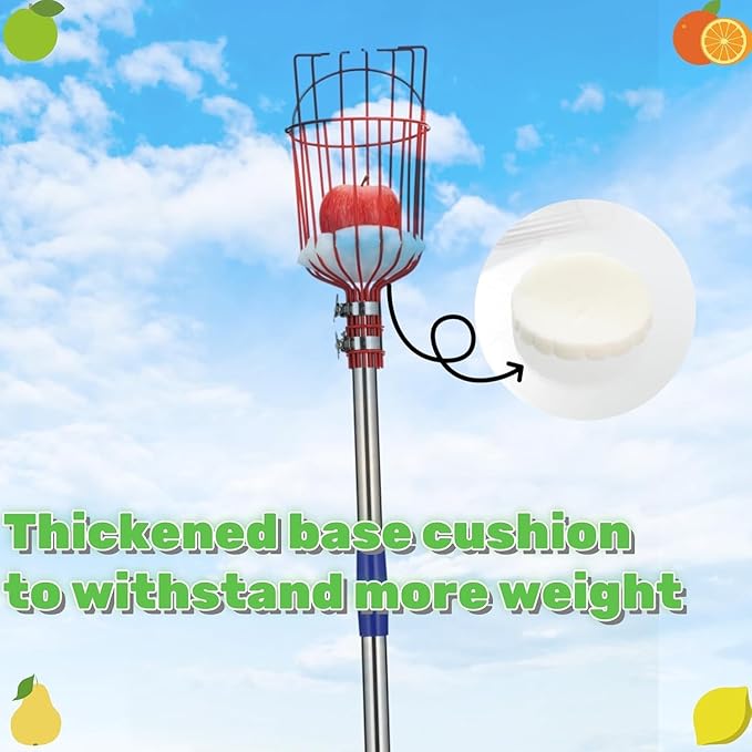 Adjustable Fruit Picker with Telescoping Handle and Basket, 5.5ft - Ideal for Apple, Orange, Avocado, Lemon, Pear, and Mango Harvesting