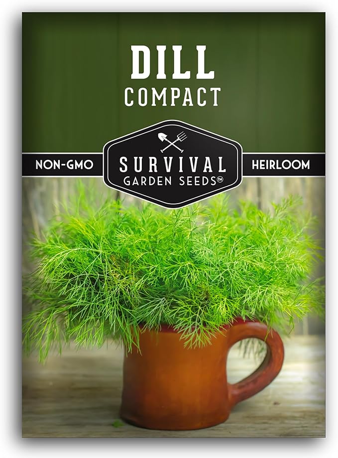 Survival Garden Seeds Compact Dill for Planting - 1 Seed Packet with Instructions to Plant & Grow Container Sized Dwarf Dill Herb Plants in Your Home Garden - Non-GMO Heirloom Variety