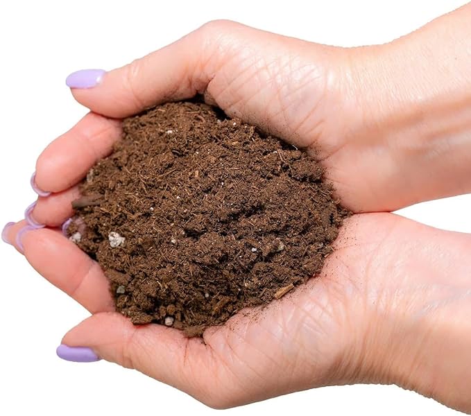 GARDENERA Citrus Tree Potting Soil Mix, Special Blend for Indoor Oranges, Lemons, Limes and More - (2 Quart Bag)
