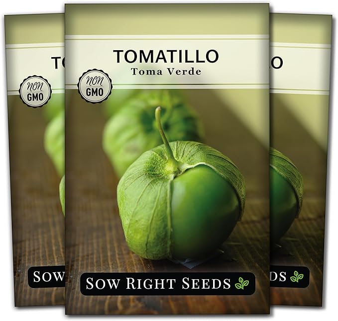 Sow Right Seeds - Toma Verde Tomatillo Seeds for Planting - Non-GMO Heirloom Packet with Instructions to Plant a Home Vegetable Garden - Mexican Husk Tomato - Ground Cherries Great for Salsa (3)