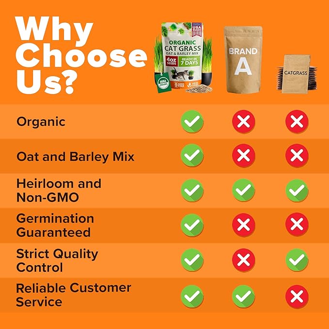 HOME GROWN Organic Cat Grass Seeds Pack (4oz) - Non-GMO Heirloom Cat Grass Seeds for Indoor Cats - Oat and Barley Pet Grass - Hairball Relief