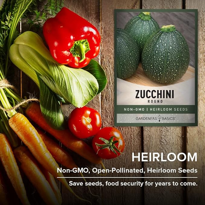 Round Zucchini Seeds for Planting Heirloom, Non-GMO Vegetable Summer Squash Container Variety- 3 Grams Seeds Great for Summer Garden by Gardeners Basics
