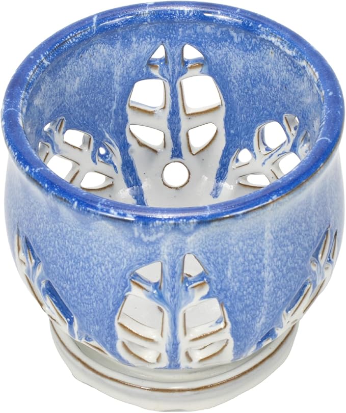 W&W Orchid Pot with Holes and Saucer for Repotting and Better Grow, Blue and White, 6.5 Inches