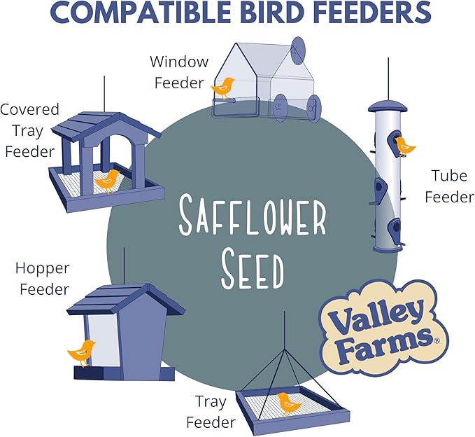 Valley Farms Safflower Seed Wild Bird Food (4 LB) Birdseed for Outside Feeders to Attract Cardinals, Titmice & Grosbeaks