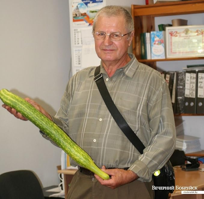 Seeds Cucumber Chinese Miracle Long Heirloom Vegetable Non GMO (20 Seeds)
