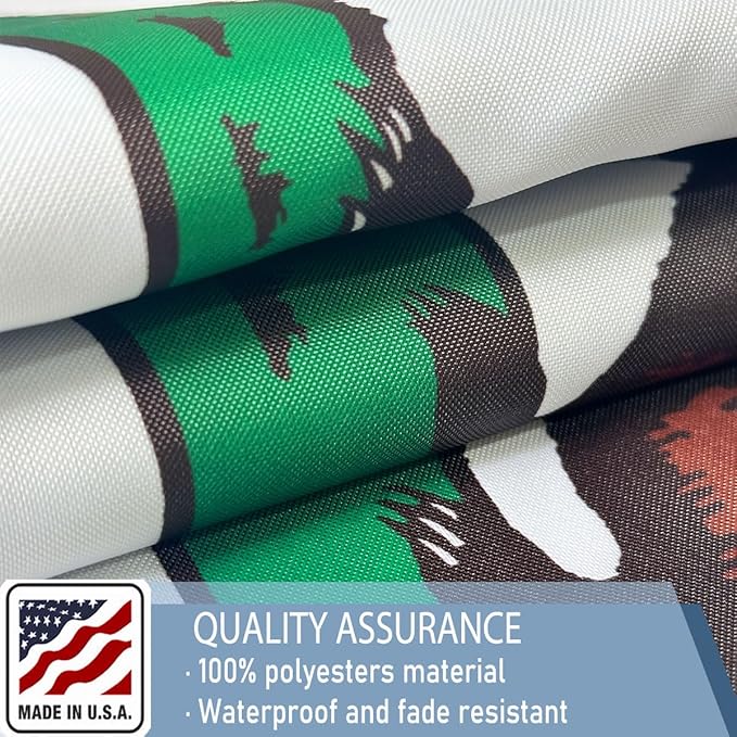California Republic State State Flags 4x6 Outdoor Heavy Duty Double Sided Nylon Vivid Color Anti-Fading with 2 Brass Grommets for Home/Company/Indoor Outdoor Decoration