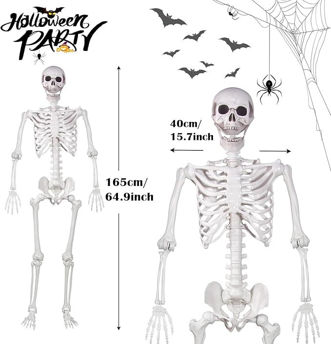 Halloween Skeleton, Realistic Life Size Skeleton with Movable Joints for Halloween Party Haunted House Indoor Outdoor Decoration (5.4ft-1P)