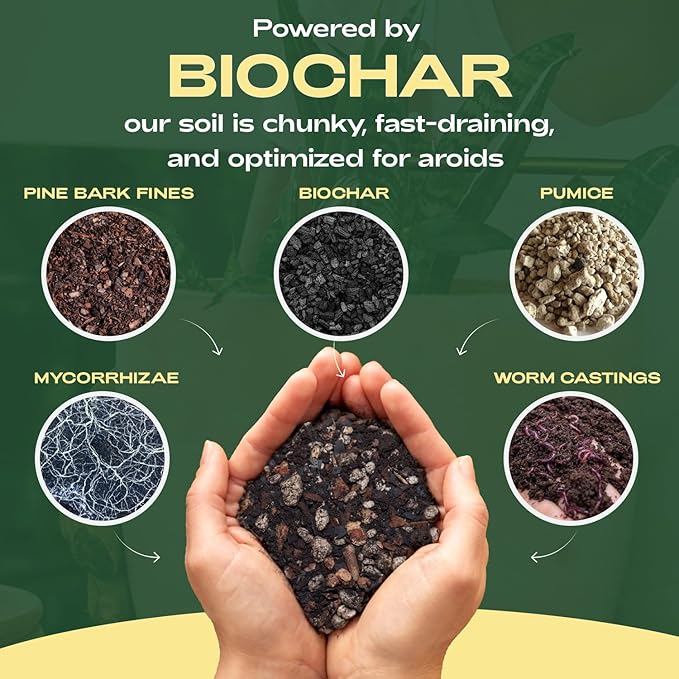 Rosy Soil Aroid Soil Potting Mix - Peat-Free, Microbially Active Biochar Powered Soil for Aroids - Superior Aeration & Drainage for Aroid Plants - Ideal for Indoor Gardening - 4 Quarts