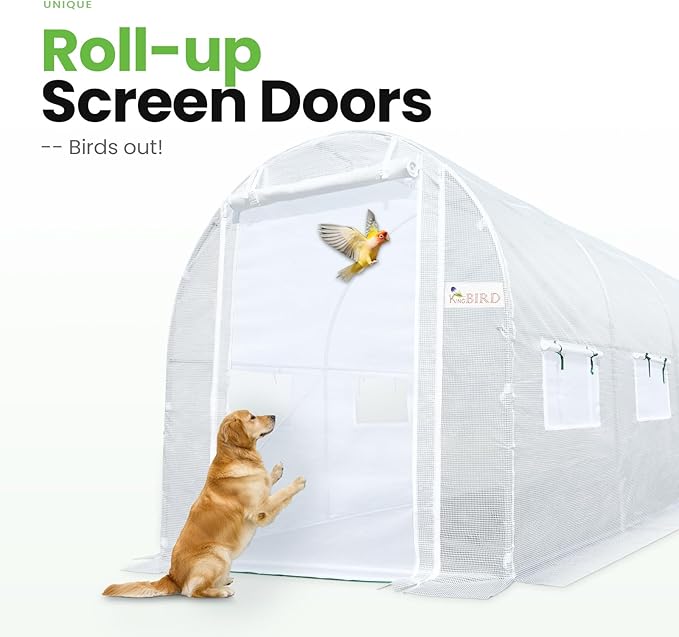 KING BIRD Premium 10x6.6x6.6FT Greenhouse for Outdoors, Large Walk-in Heavy Duty Galvanized Steel Frame, Mesh Door Screen Window Upgraded Zipper Tunnel Hoop for Garden Plant Winter, White