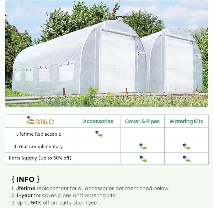 KING BIRD Premium 15x6.6x6.6FT Greenhouse for Outdoors, Large Walk-in Heavy Duty Galvanized Frame, Screen Mesh Door Window Reinforced Zipper Tunnel Hoop for Garden Plant Winter, White