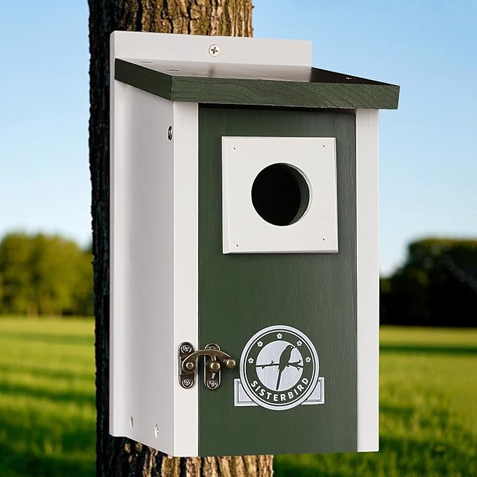 Bird Houses for Outside, Dark Green Bird House, Bluebird Houses for Outside, Garden Decoration Birdhouses for Outdoors, Bluebird Finch Swallow Wren Chickadee