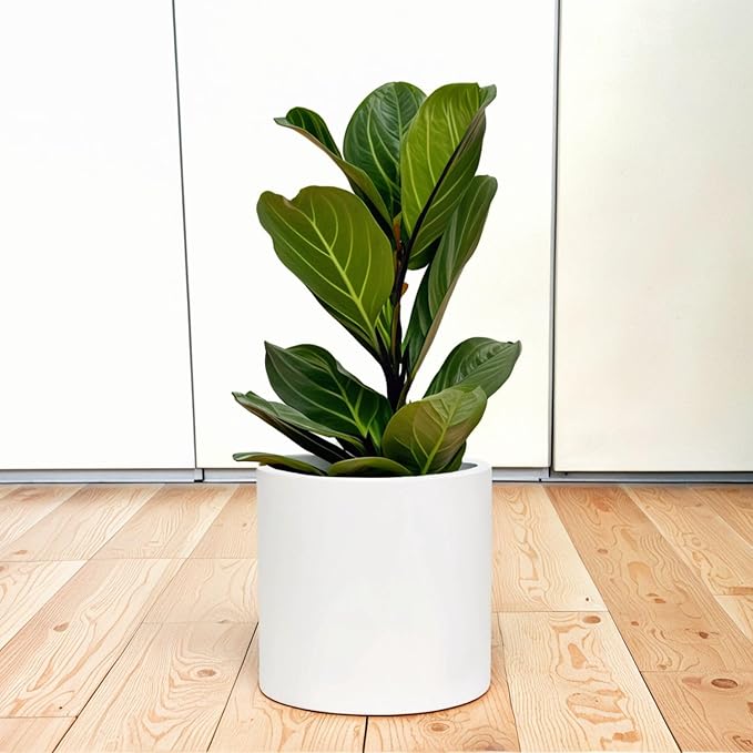 Fox & Fern 10 Inch Plant Pot with Drainage Plug — Premium Lightweight Fiberstone Matte White Planter; Indoor & Outdoor Planter; 10 Inch Pots for Plants; Weather Resistant & UV Resistant