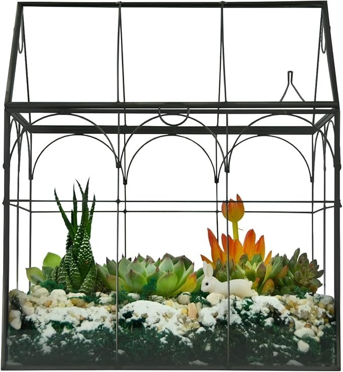 Large Tall Plant Greenhouse Terrarium Glass with Lid, 8.7"X5.9"X10.6" Inches Indoor Tabletop Orchid Succulent Cacti Terrarium Kit NA (House Black A)