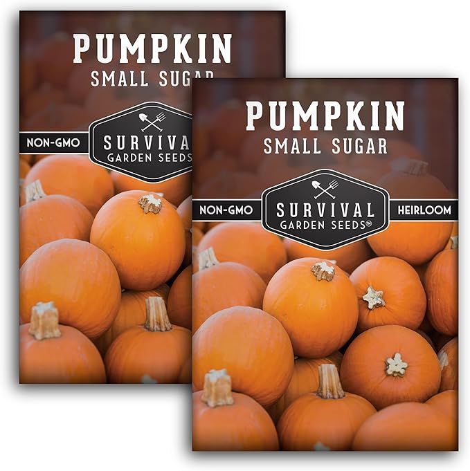 Survival Garden Seeds - Small Sugar Pumpkin Seed for Planting - 2 Packs with Instructions to Plant and Grow Pie Pumpkins in Your Home Vegetable Garden - Non-GMO Heirloom Variety