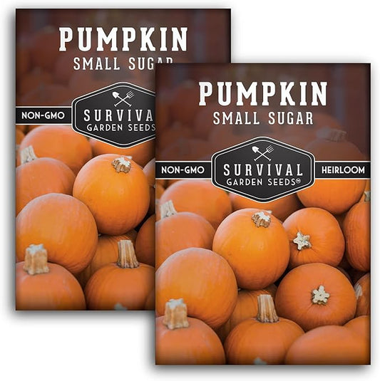 Survival Garden Seeds - Small Sugar Pumpkin Seed for Planting - 2 Packs with Instructions to Plant and Grow Pie Pumpkins in Your Home Vegetable Garden - Non-GMO Heirloom Variety