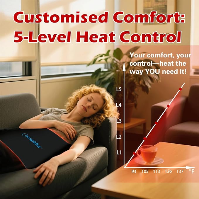 Red Light Therapy for Body Infrared Light Therapy Pad with Timer & 10ft Cable & Cigarette Lighter Plug, 650nm 850nm 255 LEDs for Body Back Buttock Lumbar Shoulder Knee Pain Relief
