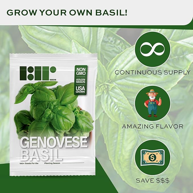 Genovese Basil Seeds for Planting - Heirloom Non-GMO USA Grown - 150+ Seeds - Premium Sweet Basil Seeds for Indoors or Outdoors by RDR Seeds