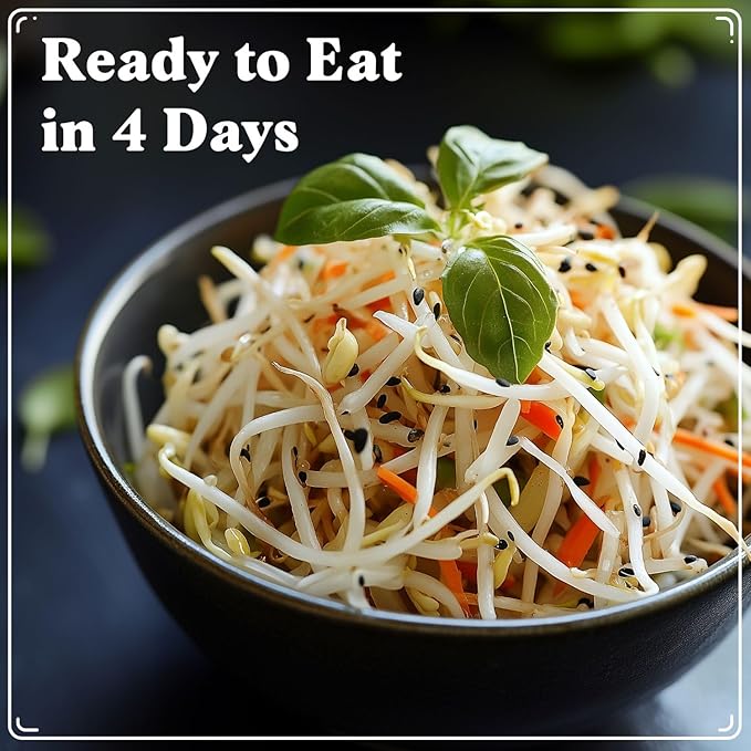 Organic Fenugreek Seeds for Sprouting - Non-GMO, USA Grown Fenugreek Microgreens Sprouting Seeds Mix - Makes 8 Quarts of Sprouts, 24 Servings (8 oz) (Fenugreek)