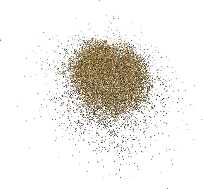 Seed Needs, Mixed Gloxiniaeflora Foxglove Seeds for Planting - Heirloom & Open Pollinated Biennial Flowers - Perfect for Butterfly Gardens & Insectaries (5 Packs)