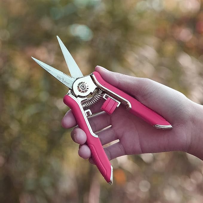 FLORA GUARD 6.5-Inch Floral Scissors, Zinc Alloy with Rubber Handle, Toothed Blade for Quick Cutting, Suitable for Flower Placement, Plant Pruning, Rose or Fruit Picking (Red)