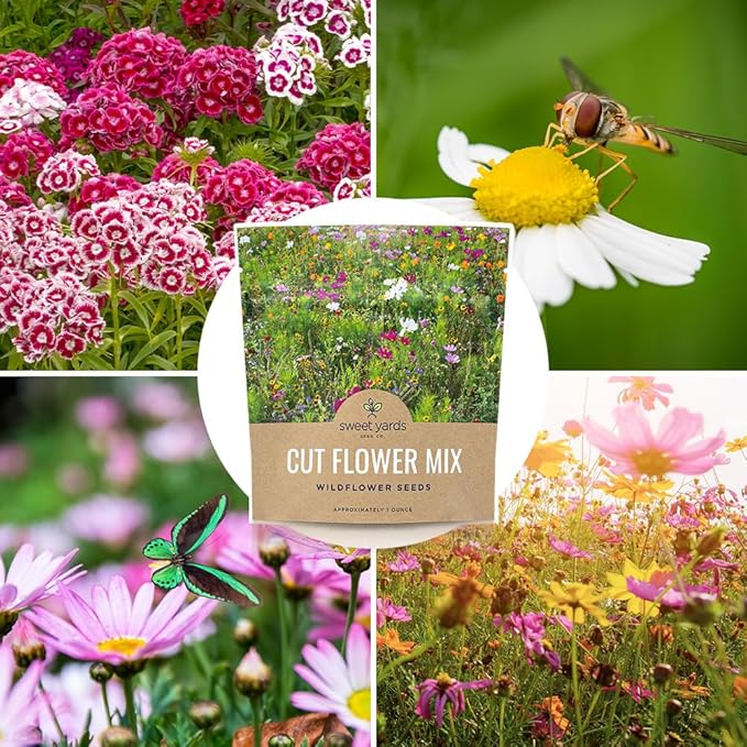 Cut Flower Garden Seeds - Extra Large 1 Ounce Packet - Over 7,500 Fresh Open Pollinated Non-GMO Wildflower Seeds - Long Lasting Annuals and Perennials with Bright Colors