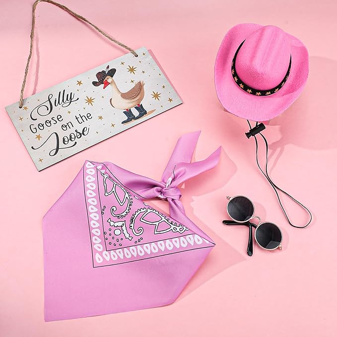Western Cowboy Porch Goose Outfits, Lawn Cement Plastic Goose, Silly Goose on The Loose Wood Cowboy Hat Bandana Glasses (Pink)
