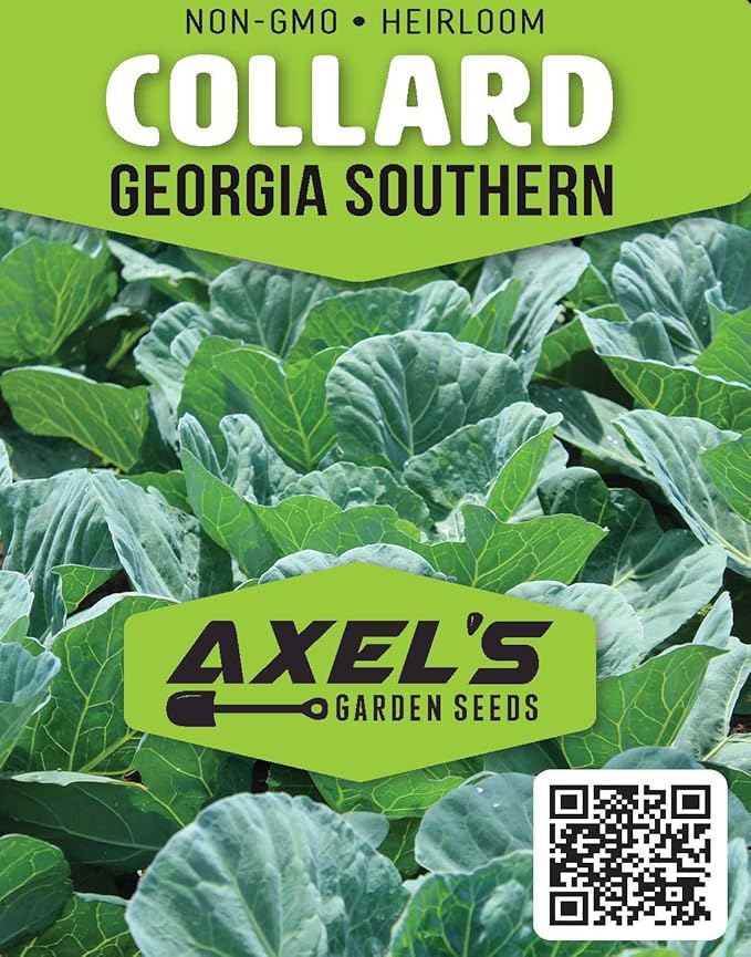 Collard Green Seeds for Planting - Plant & Grow Georgia Southern Collards - Full Planting Instructions to Plant a Home Outdoor Vegetable Garden - Great Gardening Gift, 1 Packet