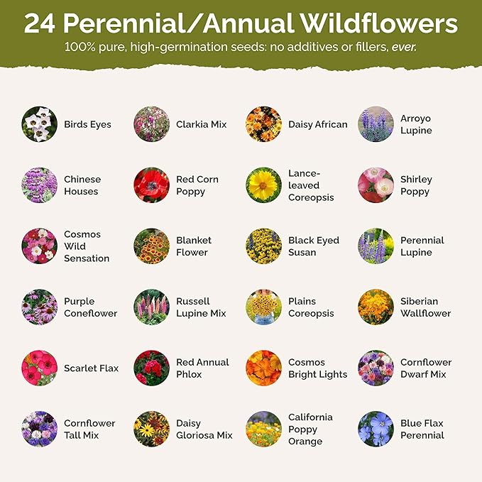 Eden Brothers Southwest Wildflower Mixed Seeds for Planting, 1 lb, 480,000+ Seeds with Cornflower, Blanket Flower | Attracts Pollinators, Plant in Spring or Fall, Zones 3, 4, 5, 6, 7, 8, 9, 10
