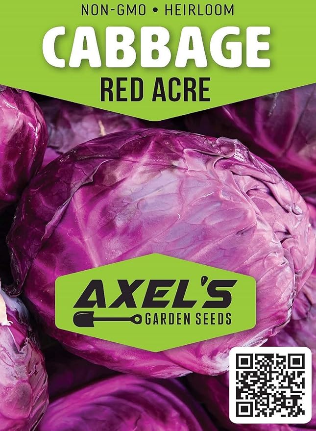 Cabbage Seeds for Planting - Plant & Grow Red Acre Cabbage in Your Home Outdoor Vegetable Garden - Heirloom Non GMO Planting Packets with Full Instructions - Great Gardening Gift, 5 Packets