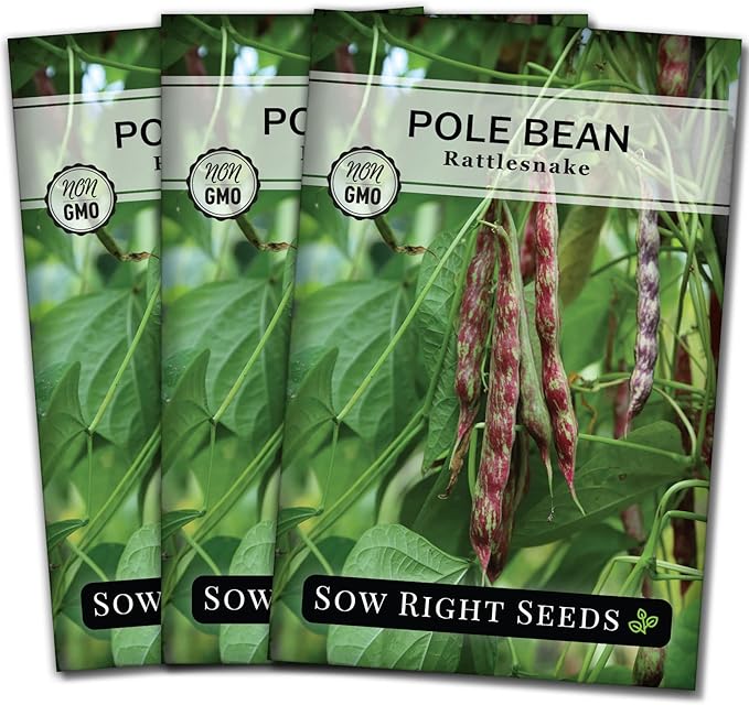 Sow Right Seeds - Rattlesnake Pole Bean Seeds for Planting - Non-GMO Heirloom Packet with Instructions to Plant an Outdoor Home Vegetable Garden - Stringless Variety - Tender with Purple Streaks (3)